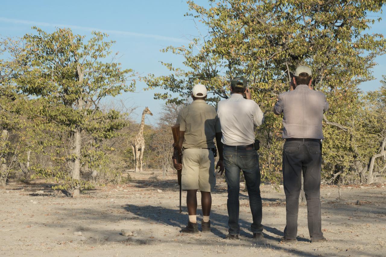 Ongava Lodge أوكاوكويجو المظهر الخارجي الصورة