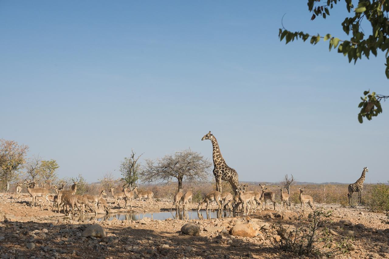 Ongava Lodge أوكاوكويجو المظهر الخارجي الصورة