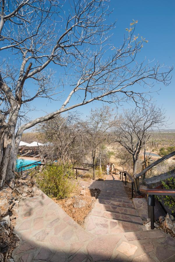 Ongava Lodge أوكاوكويجو المظهر الخارجي الصورة