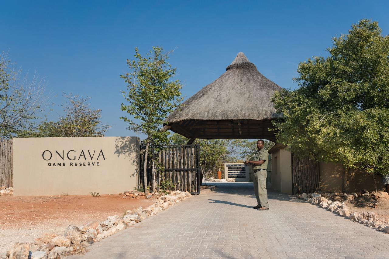 Ongava Lodge أوكاوكويجو المظهر الخارجي الصورة